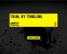 Trial_by_Timeline_Amnesty_International_cover