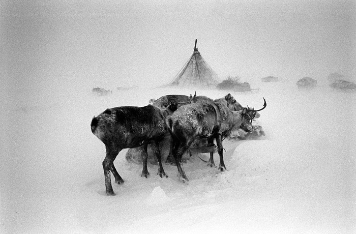 The People of Siberia