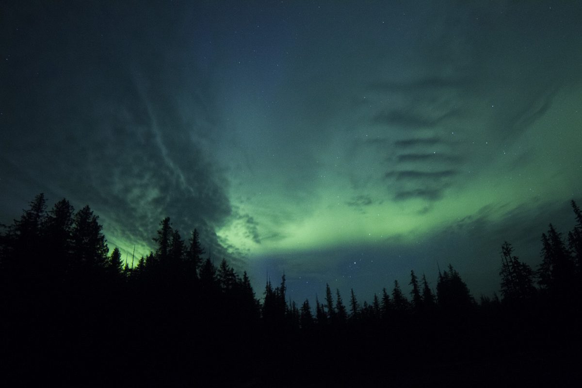 the-quest-of-the-wolf-13