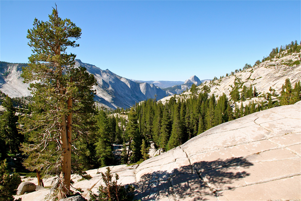 Tioga Rd, Yosemite - Routes US 1