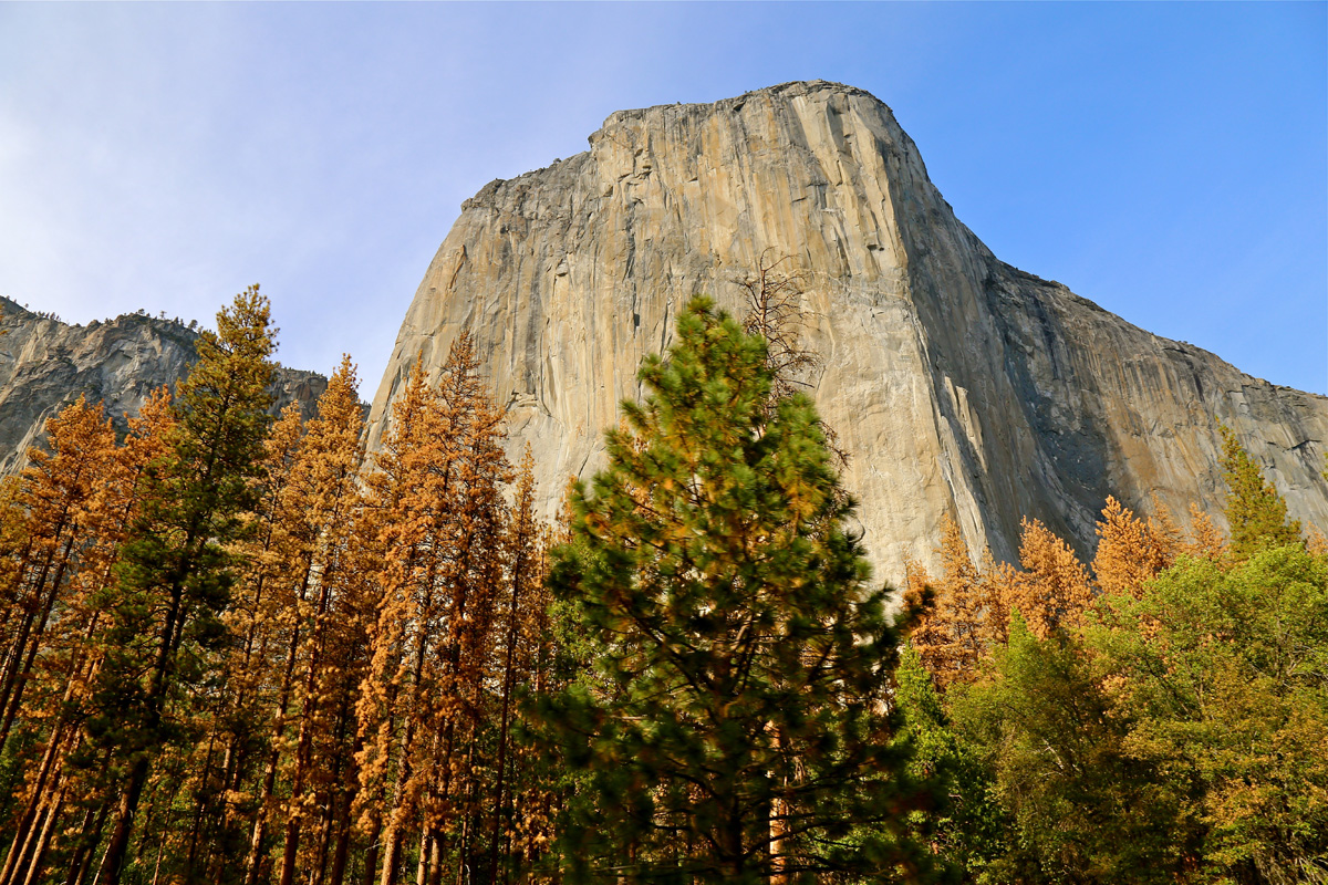 Tioga Rd, Yosemite - Routes US 3