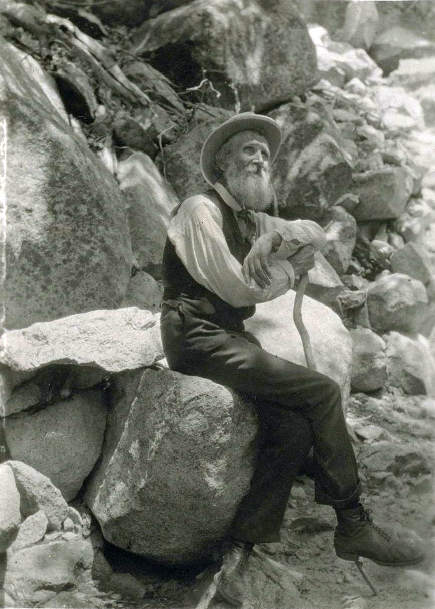 Portrait de John Muir, le père des parcs nationaux américains