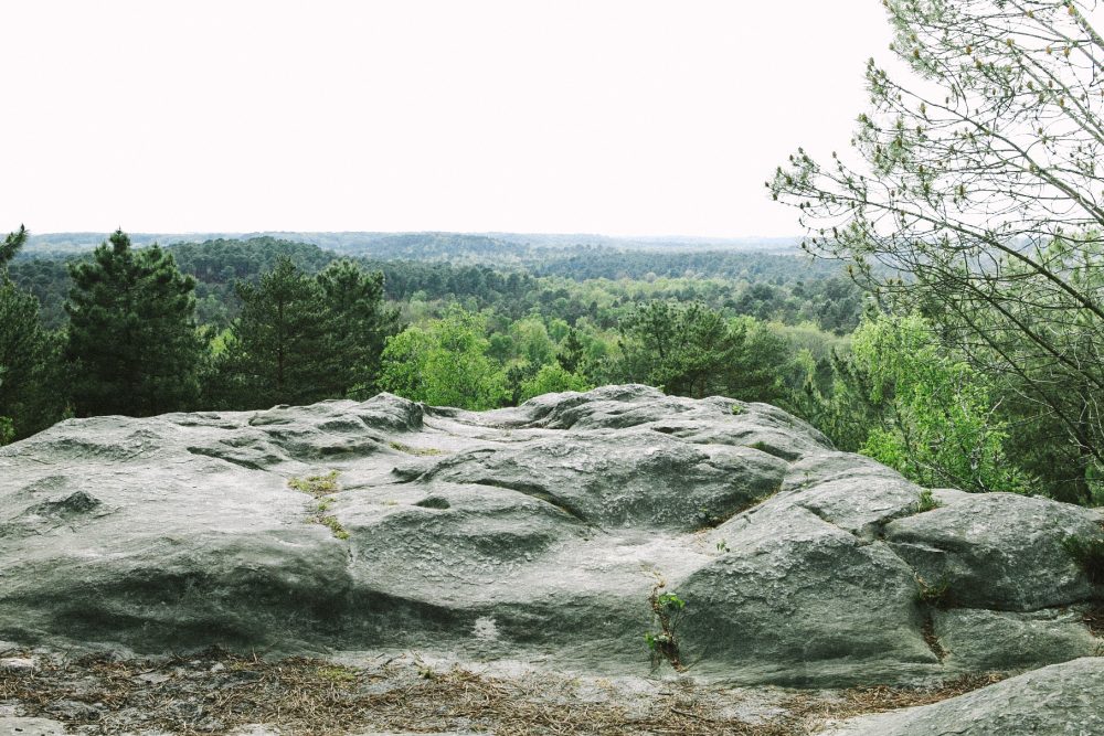 Fontainebleau, un lieu d'exception pour une randonnée pas loin de Paris.