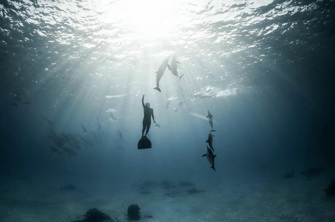 Photos Instagram réalisé par des photographes underwater.