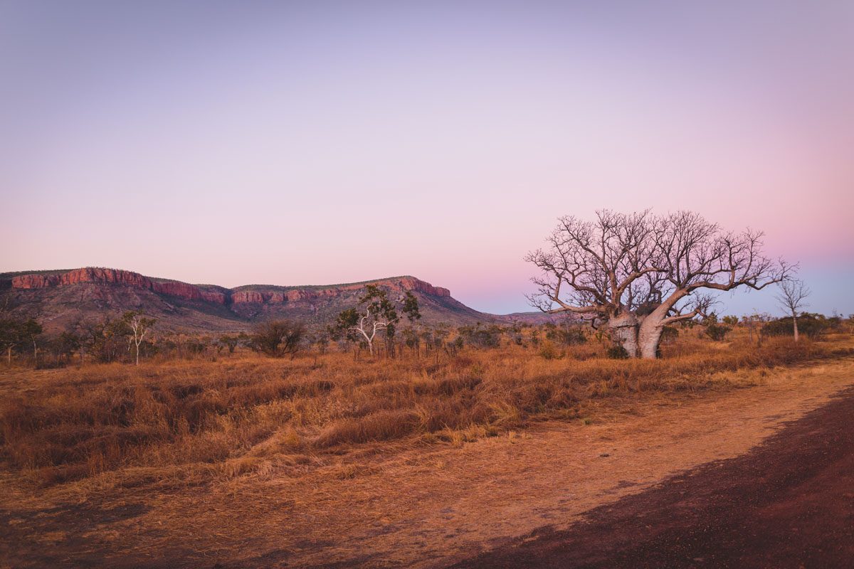 Un Road trip en Australie qui passe par son Desert.