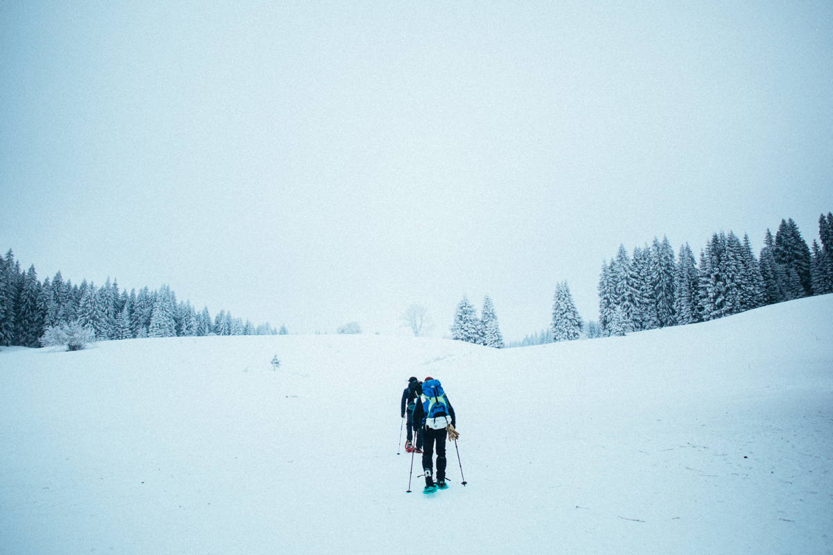 Trois jours de marche dans les forêts glacées de la 