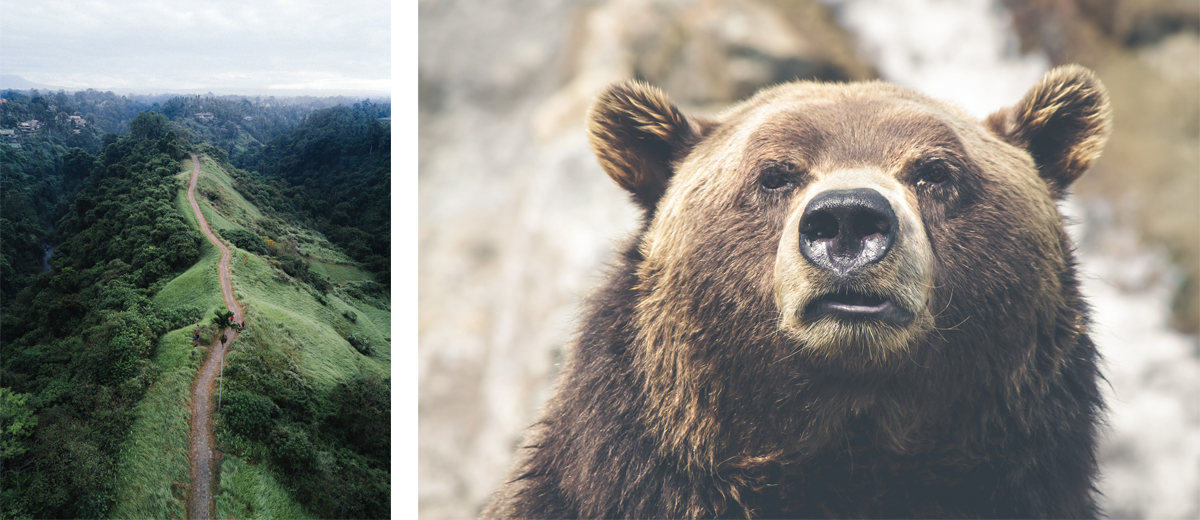 Les plus longs treks du monde offrent la chance de croiser une grande variété de faune.