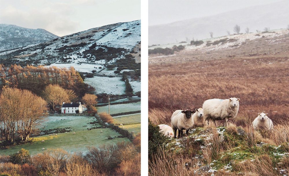 image d'un road-trip en Irlande dans le comté de Down, on peut y voir des moutons.