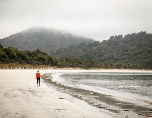 Certaines randonnées en Nouvelle-Zélande passent par des plages