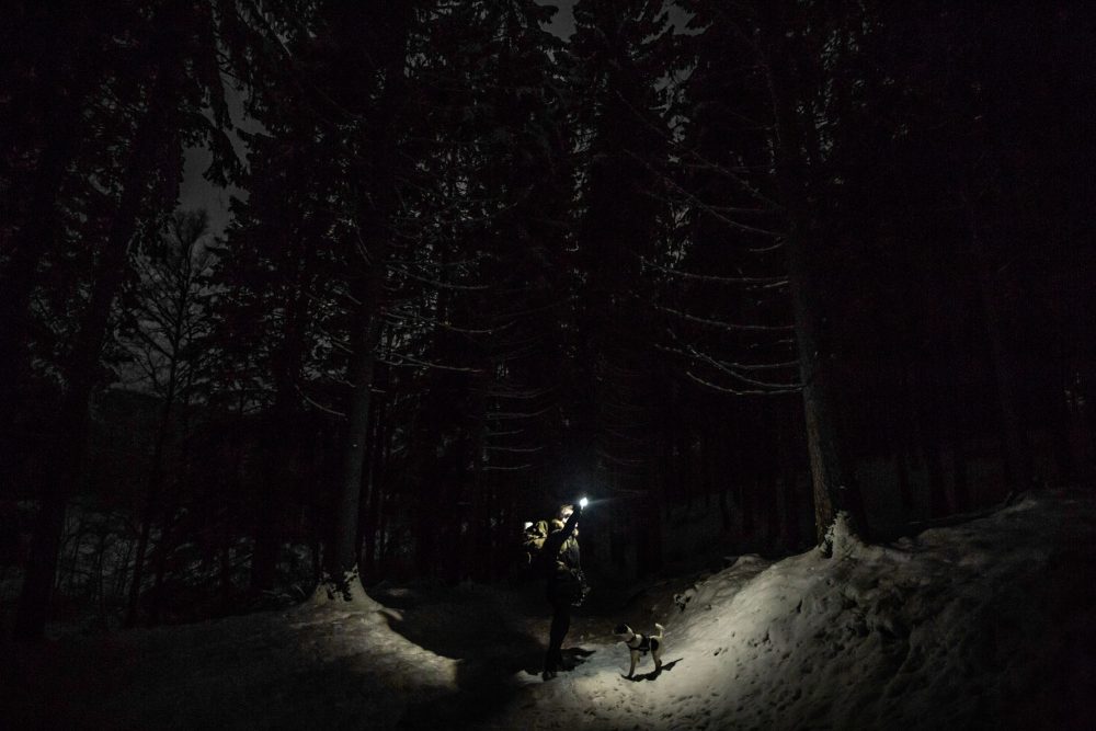 Il fait nuit noire tôt en randonnée en Ardennes.