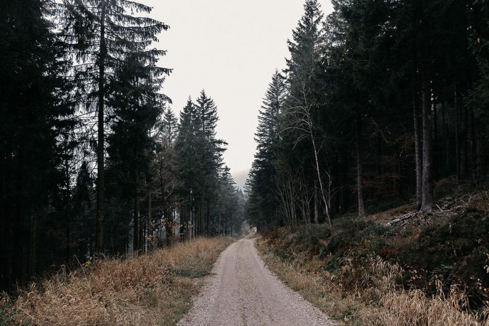 Route de randonnée en Forêt-Noire.