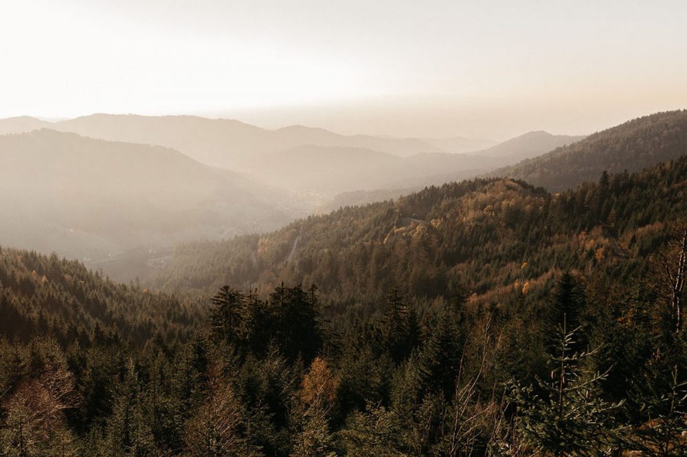 Une randonnée en Forêt-Noire implique naturellement de beaux paysages de forêts.