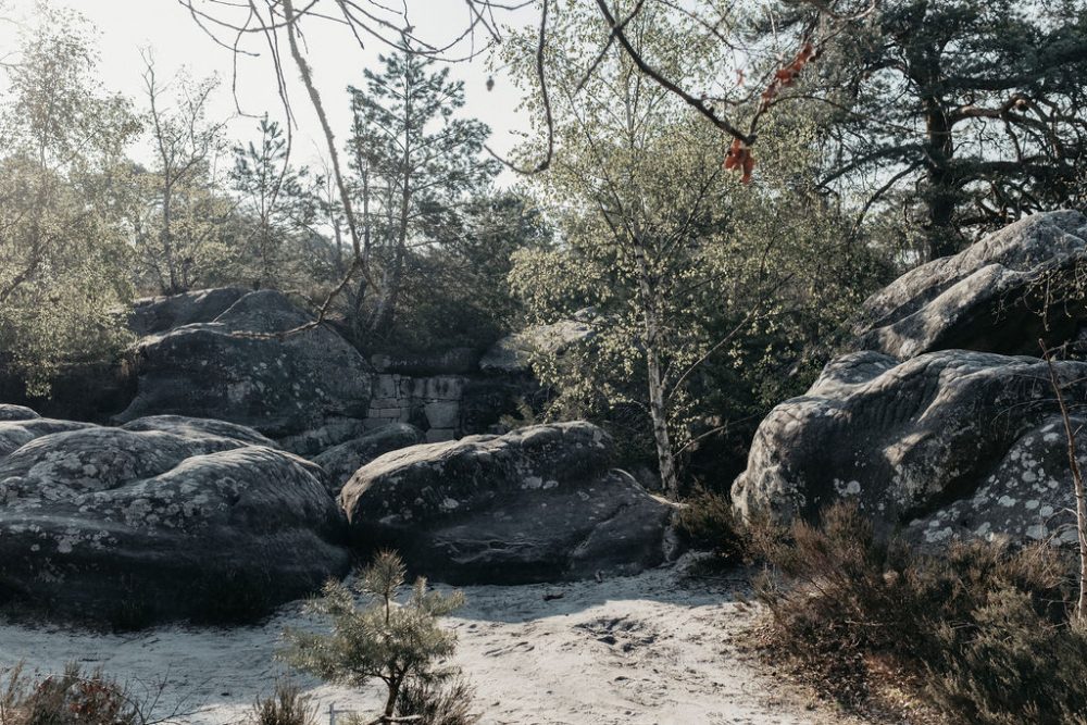 Randonnée week-end à moins de 3h de Paris : "La Trans'Bleausarde"