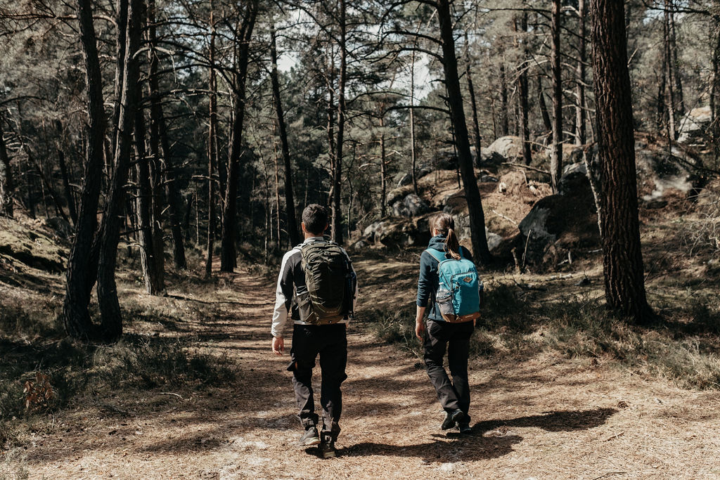La Trans'Bleausarde, une randonnée à travers la forêt de Fontainebleau