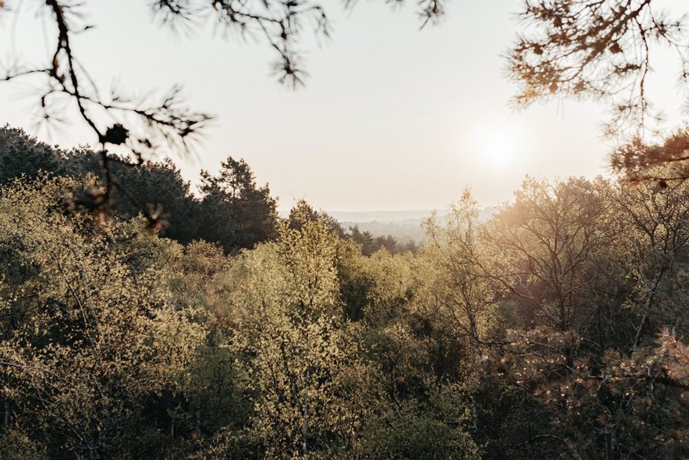 Randonnée week-end à moins de 3h de Paris : "L'échappée verte"