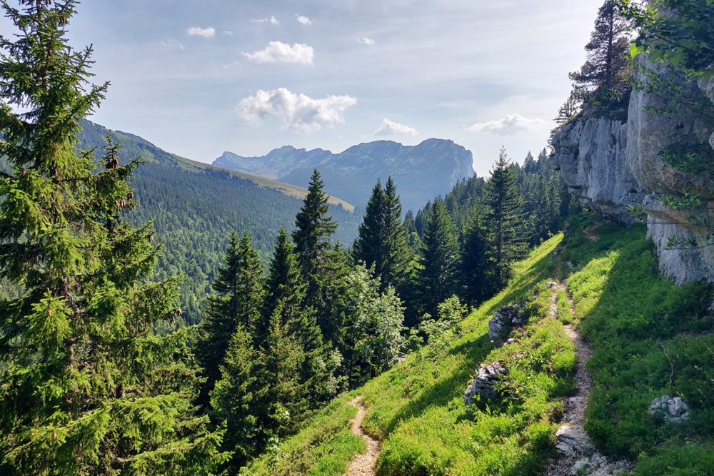 12 randonnées pour un week-end autour de Paris