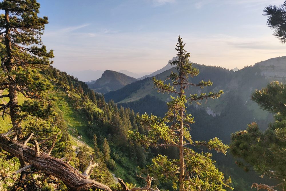 La Traversée de la Chartreuse en 3 ou 4 jours