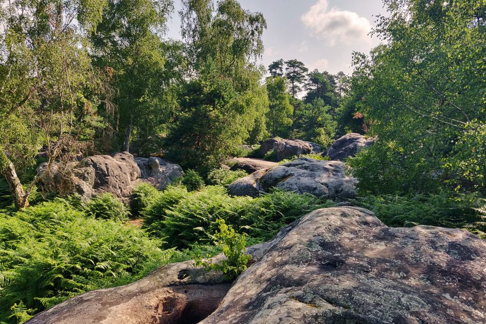 12 randonnées pour un weekend autour de Paris — Guides