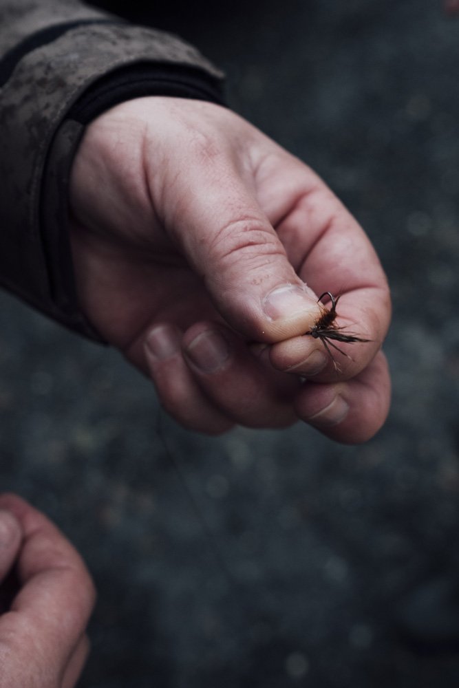 Image d'un appât, on vous en dit plus dans ce guide de la pêche à la mouche.