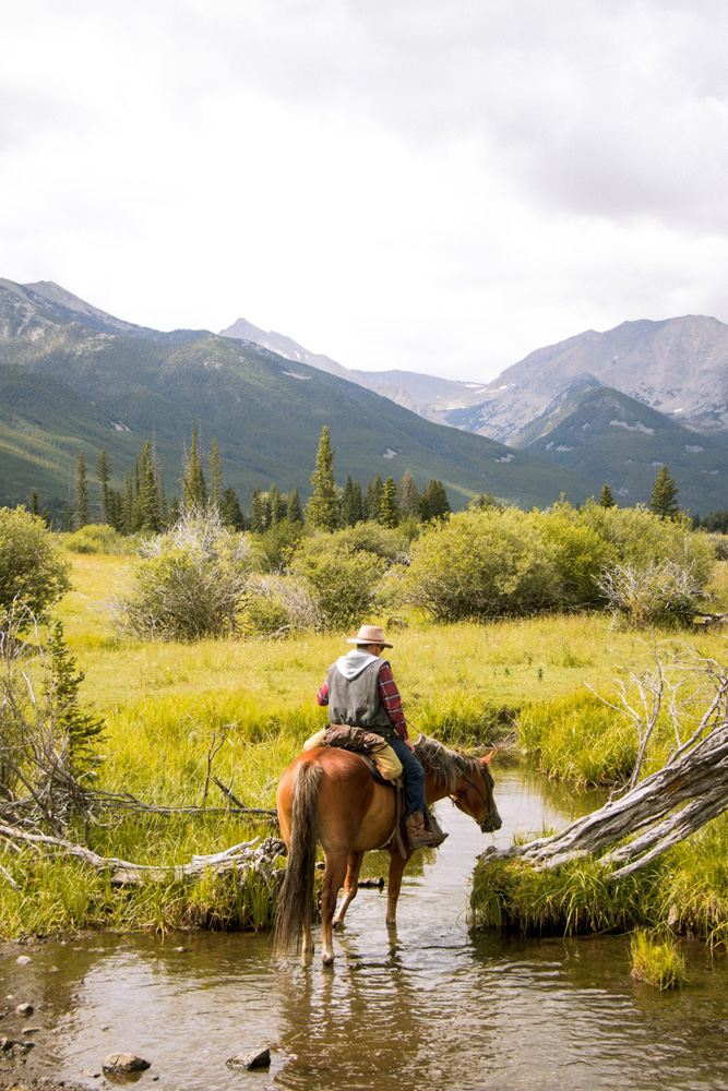 Cowboys de Montana au milieu d'une vallée.