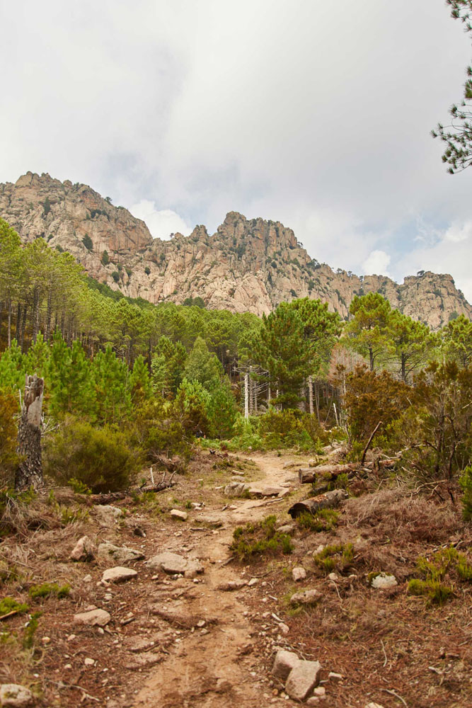 Sentier Corse du GR20.