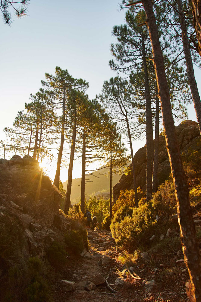 Paysage de Corse et du GR20.