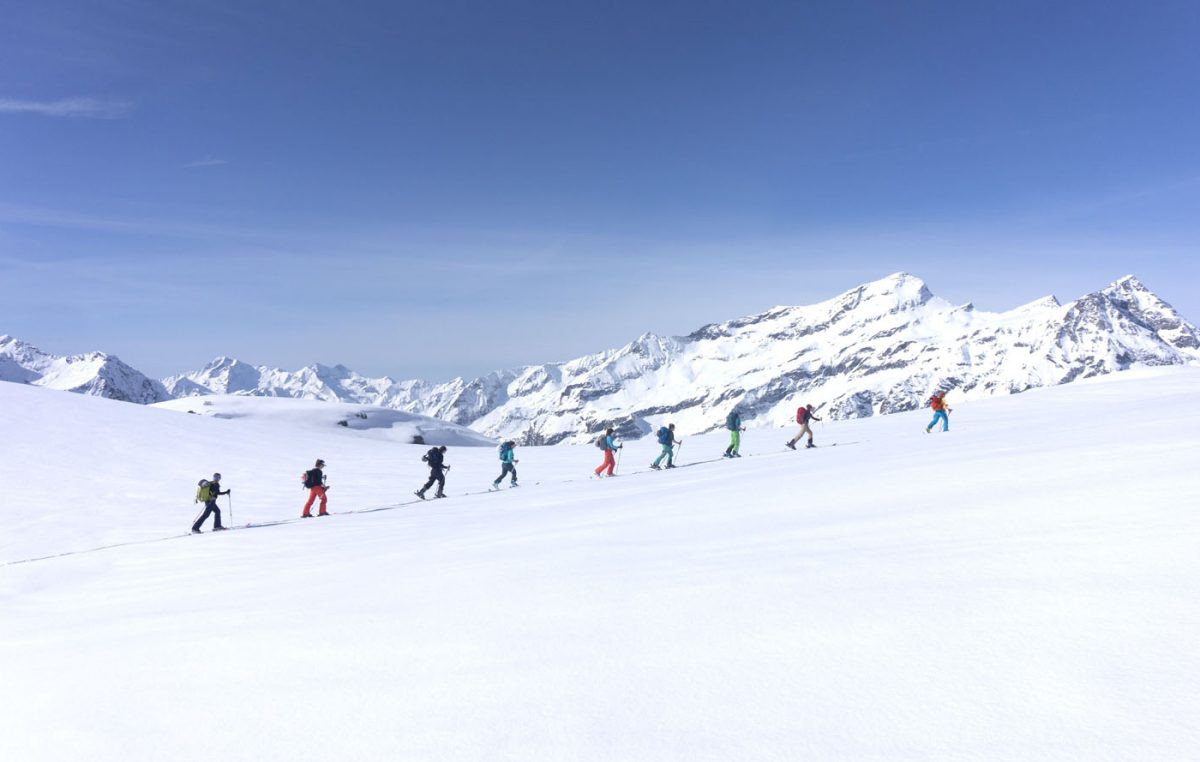 Ces associations de protection la montagne oeuvrent pour le bien de la nature.