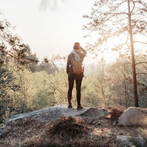Un des espaces naturels de France incontournable, la forêt de Fontainebleau