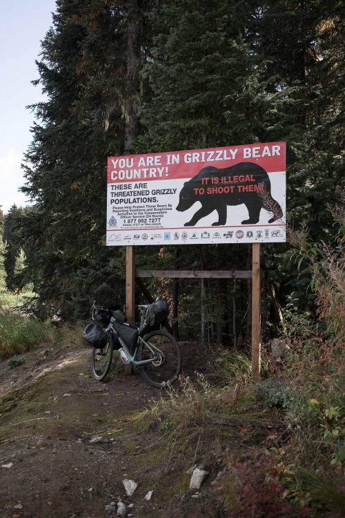 Faire du vélo en Colombie-Britannique accompagné d'ours