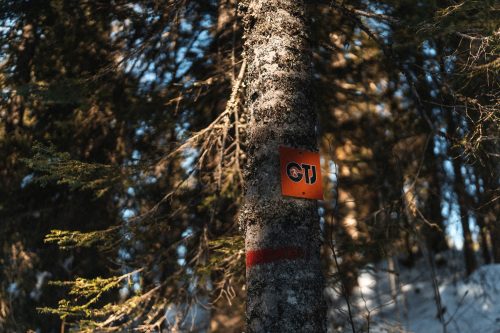 Le fameux balisage orange de la Grande Traversée du Jura à ski de fond