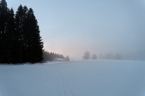La brume du matin sur la Grande Traversée du Jura à Ski de fond