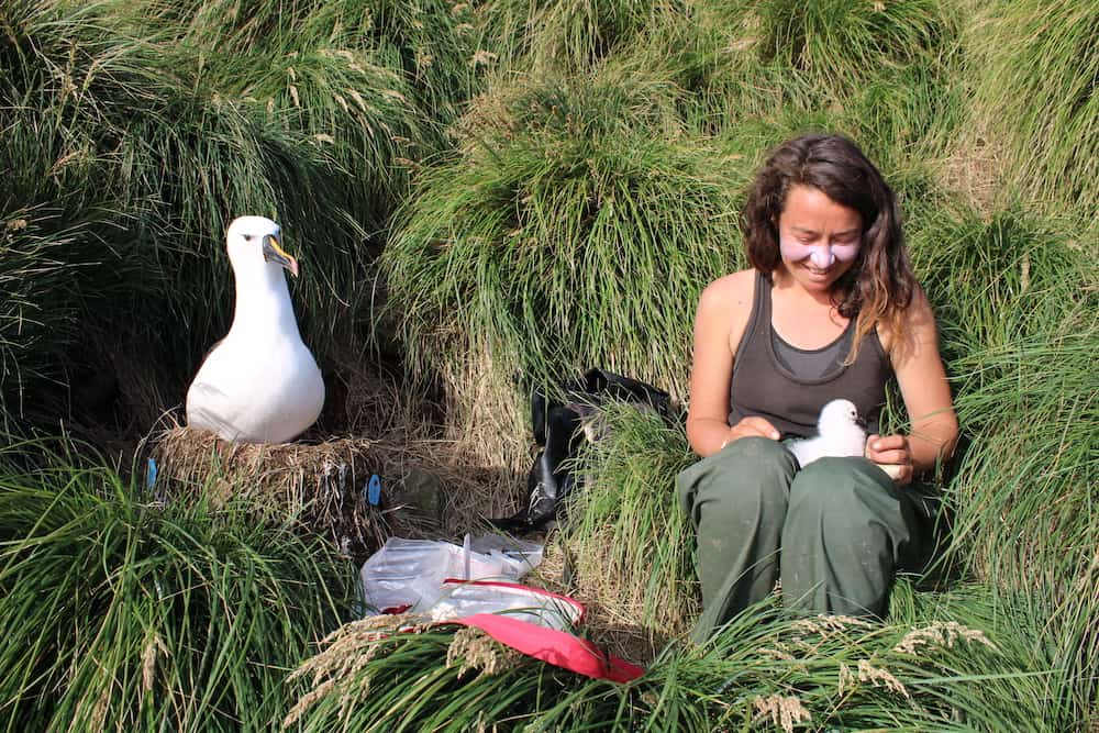 Corisande Abiven se lit d'amitié avec les albatros