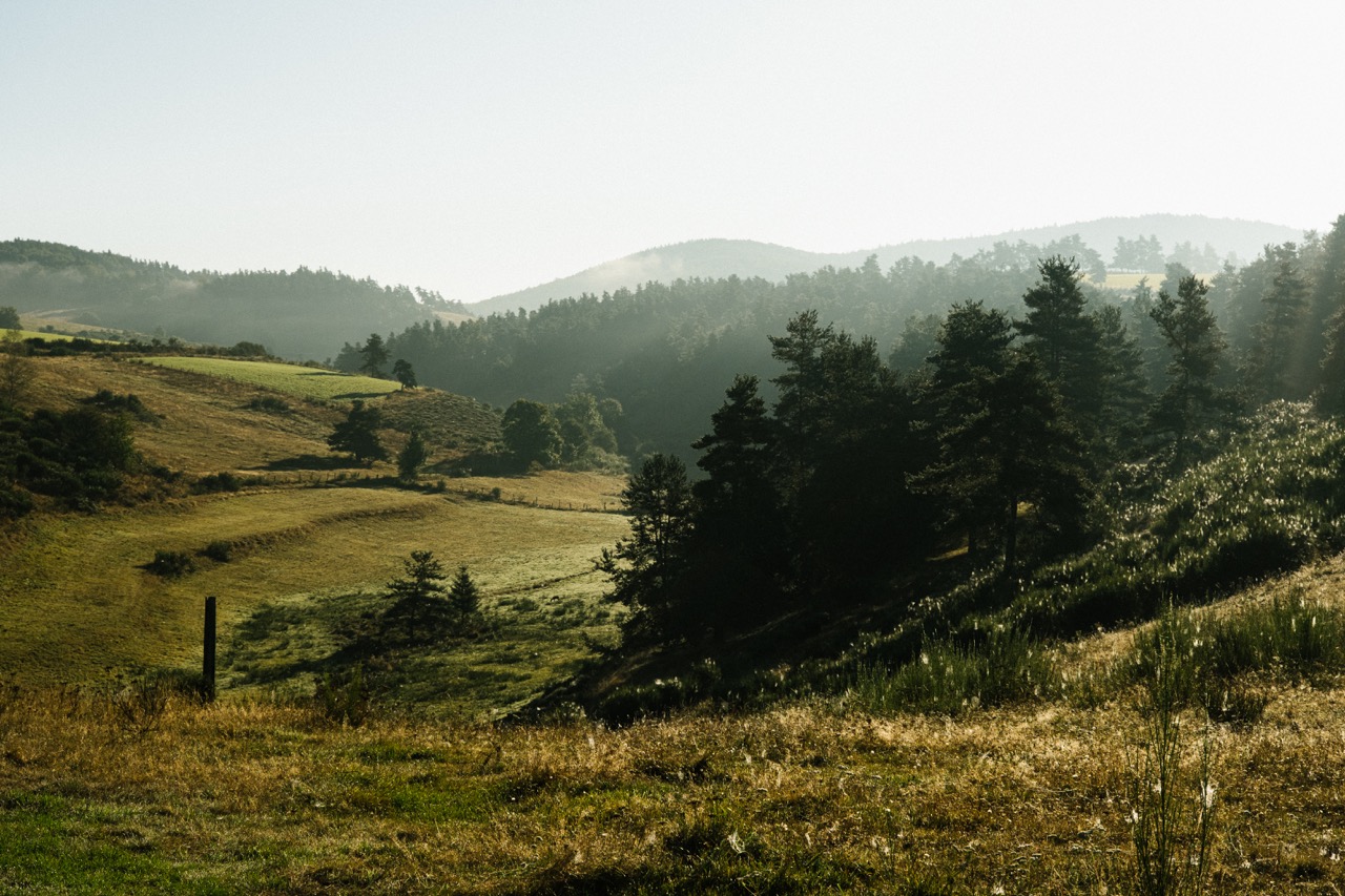 Paysage de cette randonnée à dos d'âne dans les Cévennes