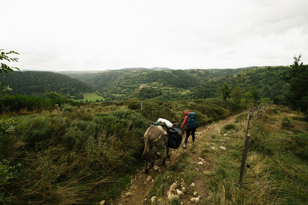 Cette randonnée avec un âne dans les Cévennes offre des vues à couper le souffle.
