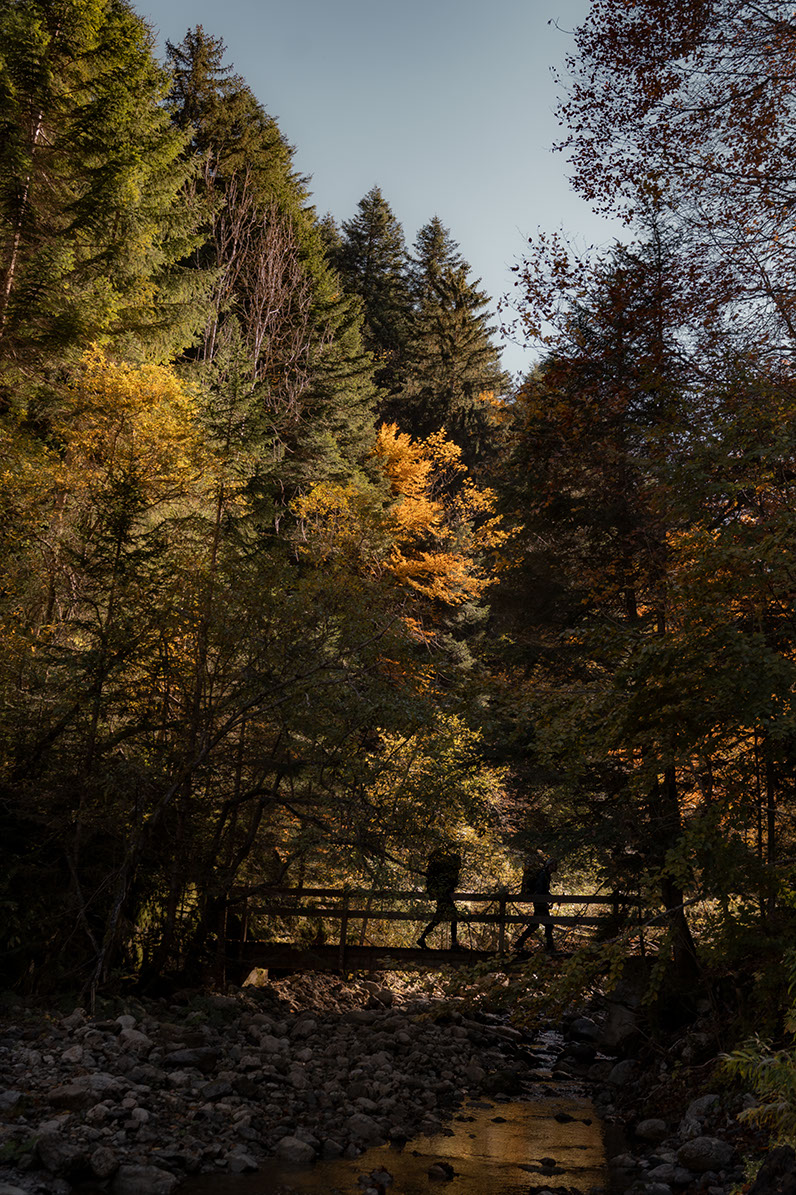 Une randonnée dans le massif des Bauges aux couleurs de l'automne
