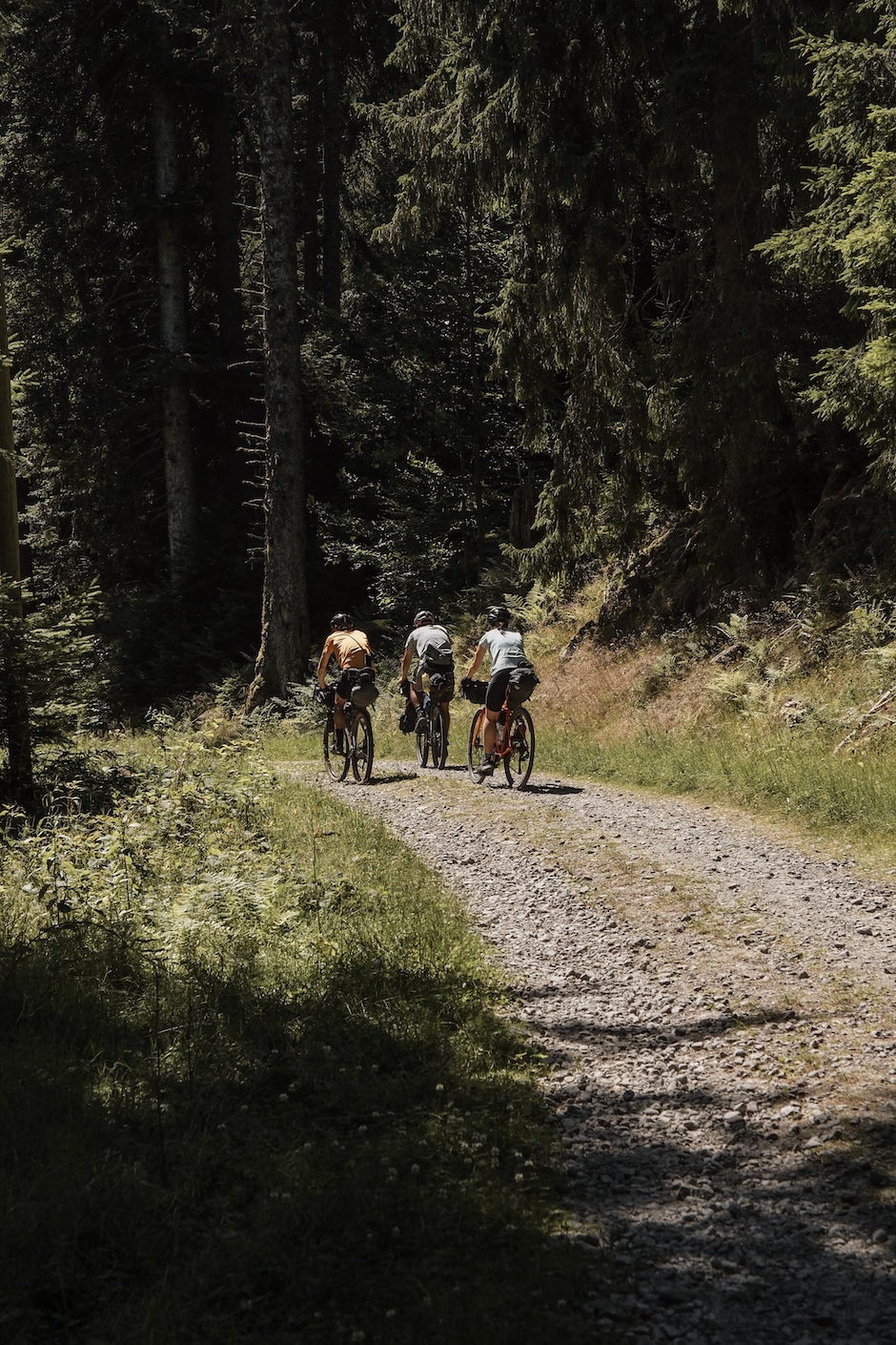 Explorer les Vosges à vélo