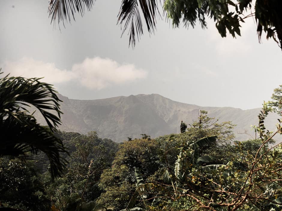 Paysage boisé du Costa Rica.