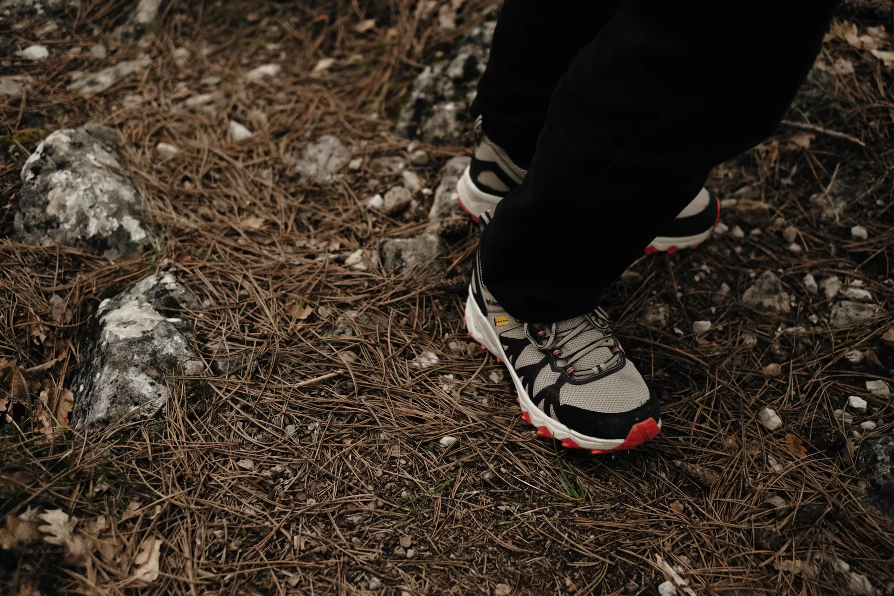 chaussures de randonnée en forêt